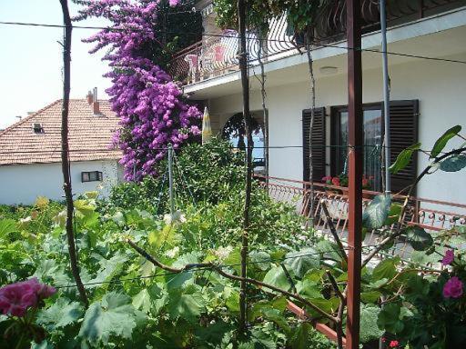 Apartment Knez Τρογκίρ Εξωτερικό φωτογραφία
